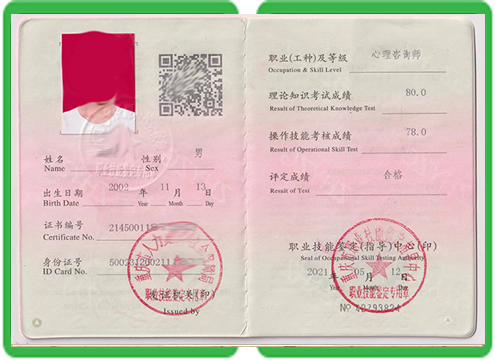 2024年专业证书制作推荐,90%的人都选错了!